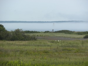 Lighthouse in the fog